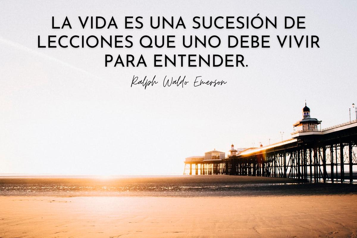 Frases sabias de la vida para reflexionar