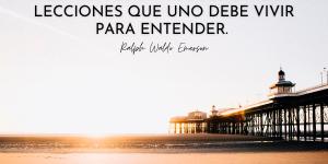 Frases sabias de la vida para reflexionar