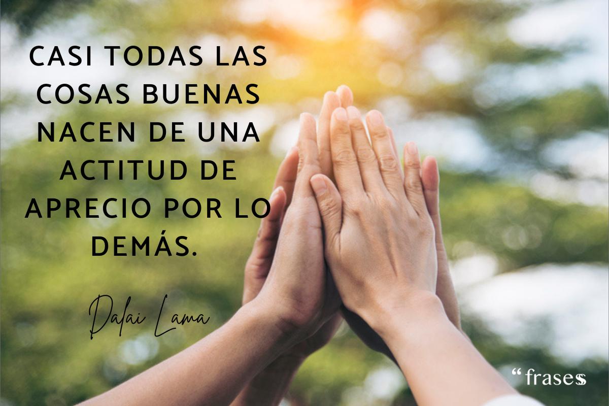 Frases de solidaridad para reflexionar
