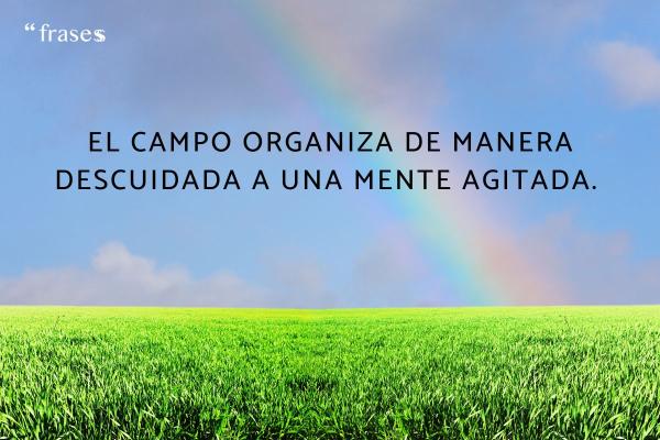 Frases del campo bonitas