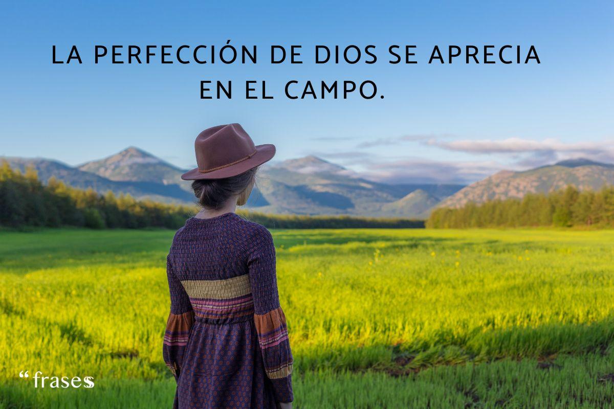 Las mejores frases del campo bonitas ¡Para compartir!