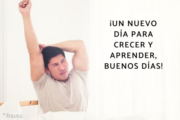 Frases de «bon dia» en catalán - "Un nou dia per créixer i aprendre, bon dia!" - ¡Un nuevo día para crecer y aprender, buenos días!