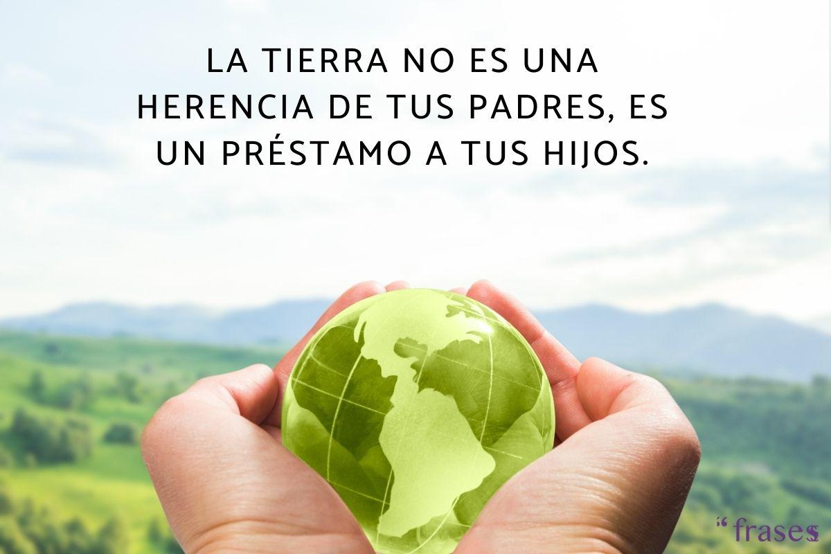 Frases sobre la contaminación