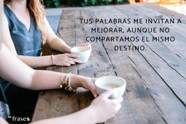 Frases para responder a las críticas - Tus palabras me invitan a mejorar, aunque no compartamos el mismo destino.