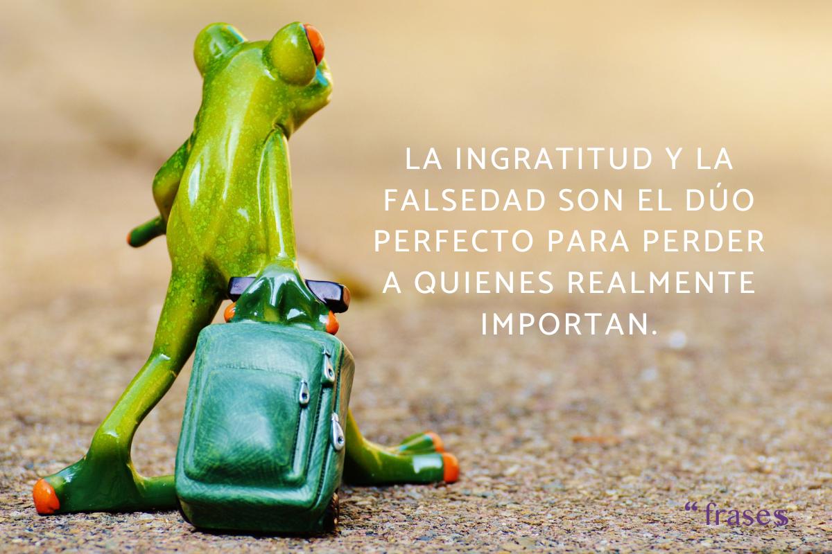 Frases para gente desagradecida