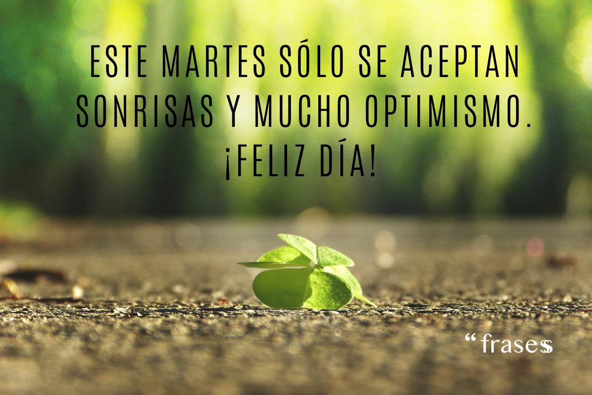 +50 FRASES de MARTES bonitas y divertidas