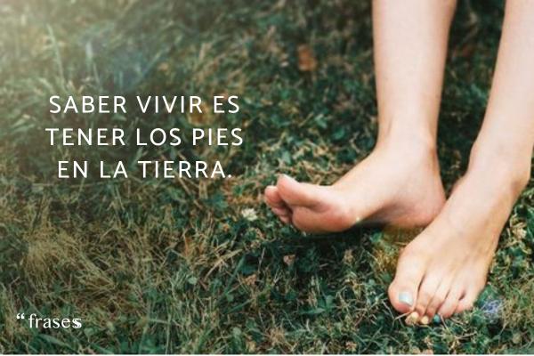 Frases sobre pies - Saber vivir es tener los pies en la tierra.