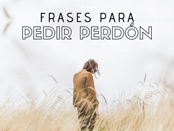 Frases para pedir perdón