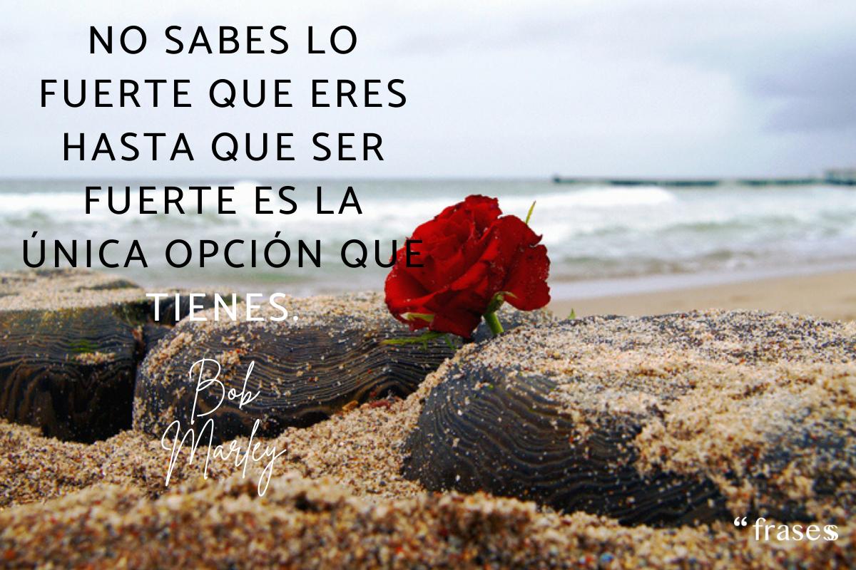 Frases de duelo