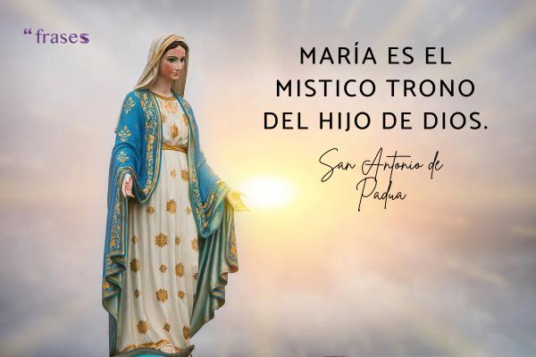 Frases de San Antonio de Padua - María es el místico trono del Hijo de Dios.