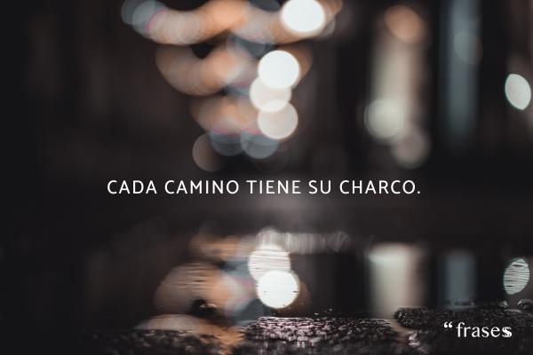 Frases de caminos - Cada camino tiene su charco. 