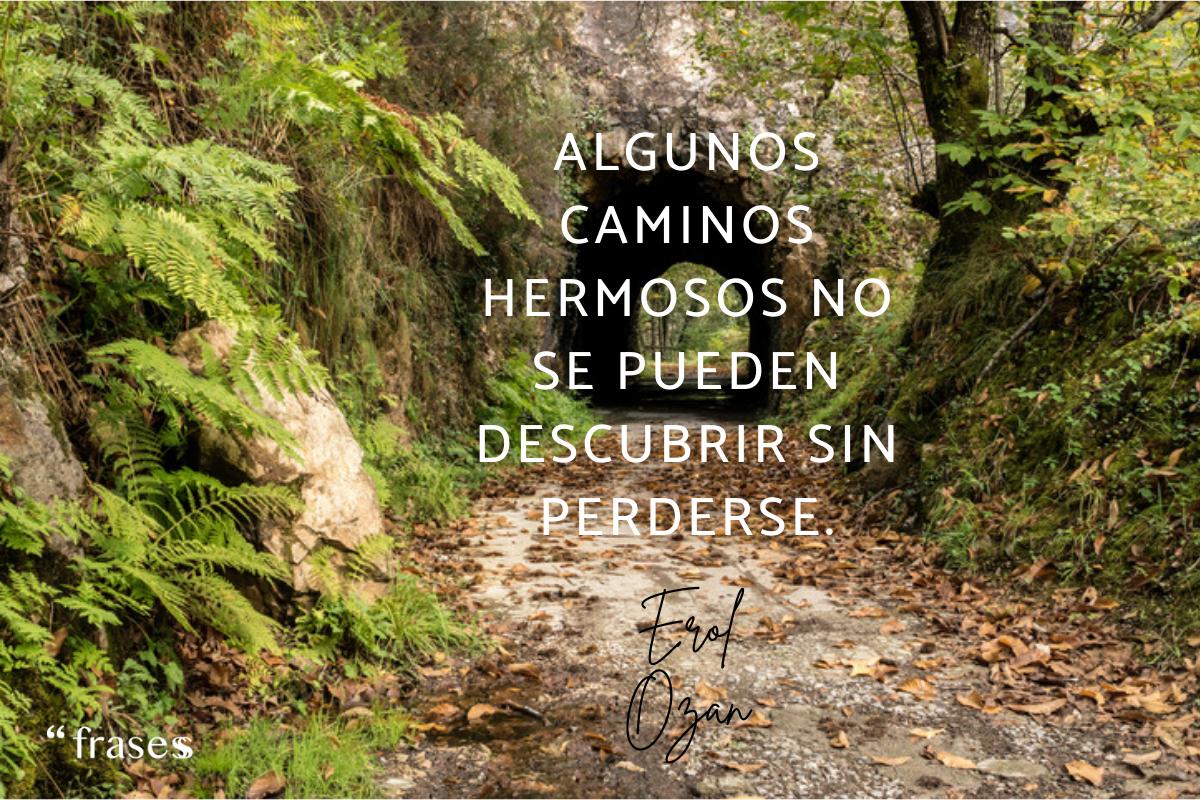 Frases de caminos