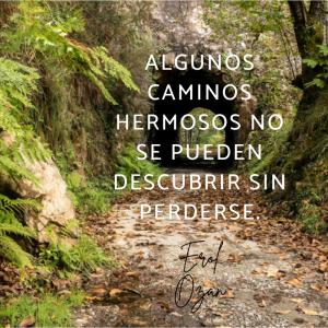 Frases de caminos