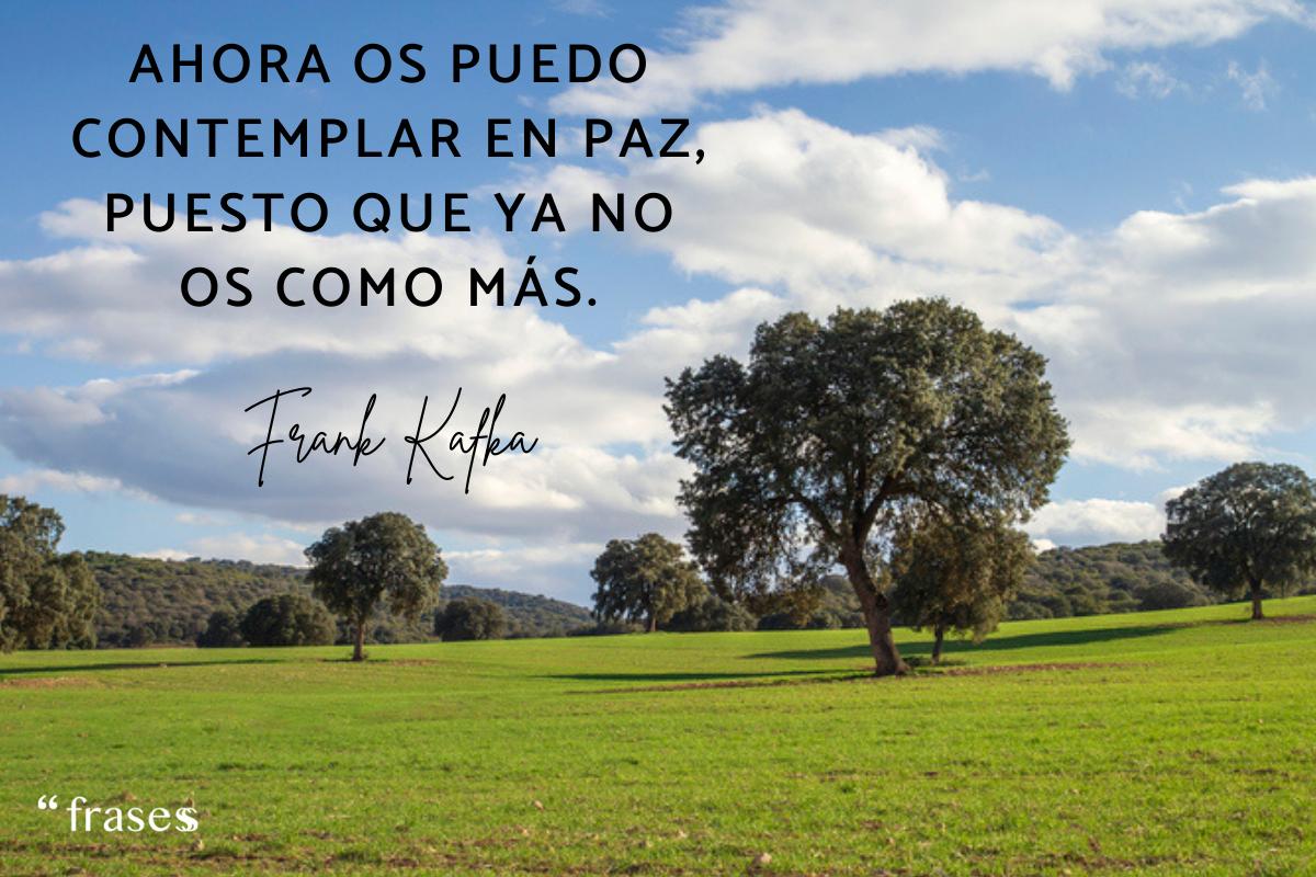 Frases veganas inspiradoras