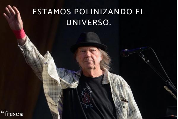 Frases de Neil Young - Estamos polinizando el universo.