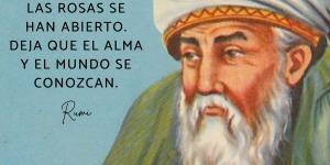 Frases de Rumi