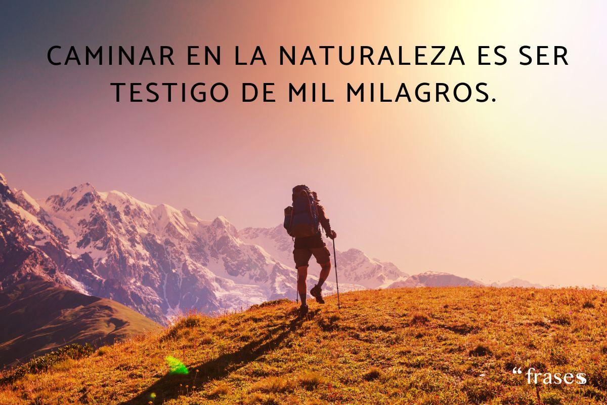 Frases de senderismo