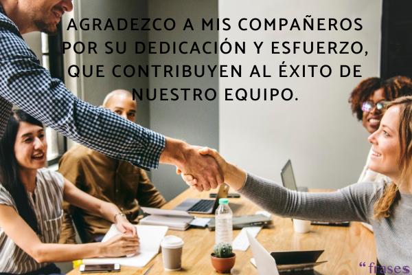 Frases de agradecimiento laboral - Agradezco a mis compañeros por su dedicación y esfuerzo, que contribuyen al éxito de nuestro equipo.