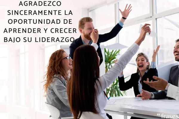 citas de agradecimiento por un buen trabajo en la oficina