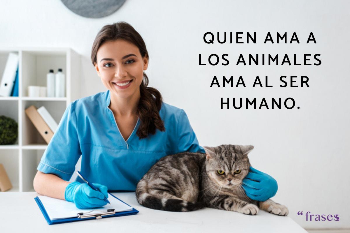 Frases del día del veterinario