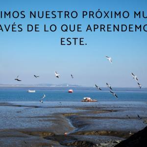 Frases de Juan Salvador Gaviota