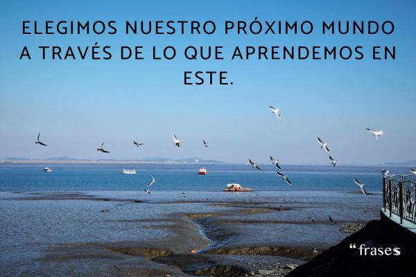 Frases de Juan Salvador Gaviota