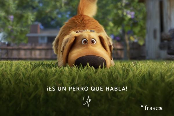 Frases de Up - ¡Es un perro que habla!