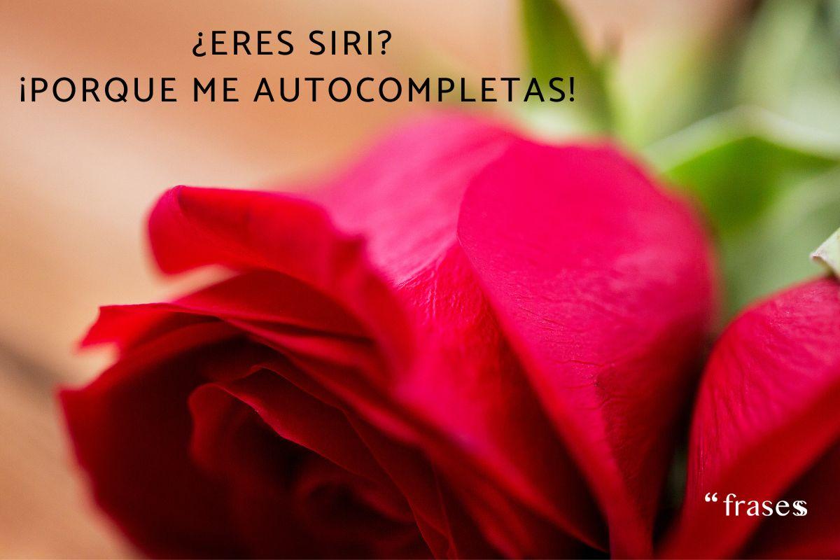 + 100 Frases graciosas para ligar ¡Inolvidables!