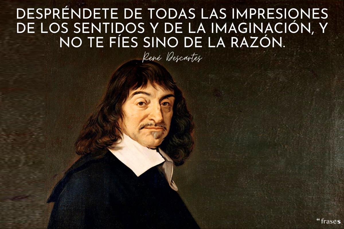 Frases de René Descartes