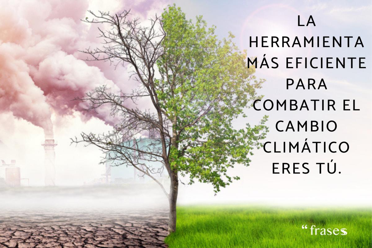 Frases del cambio climático