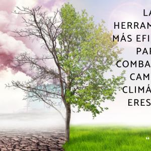 Frases del cambio climático