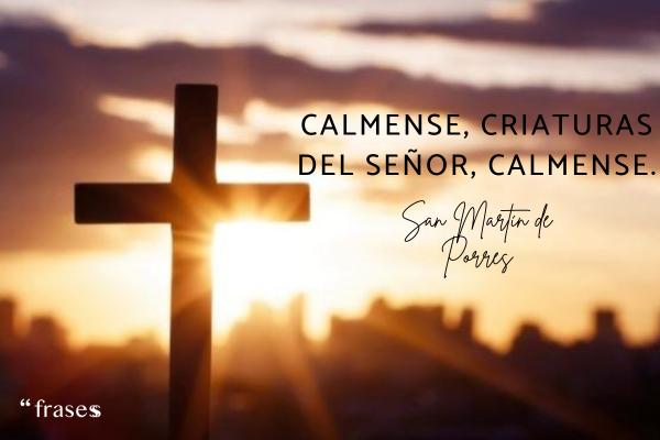 Frases de San Martín de Porres - Cálmense, criaturas del Señor, cálmense.