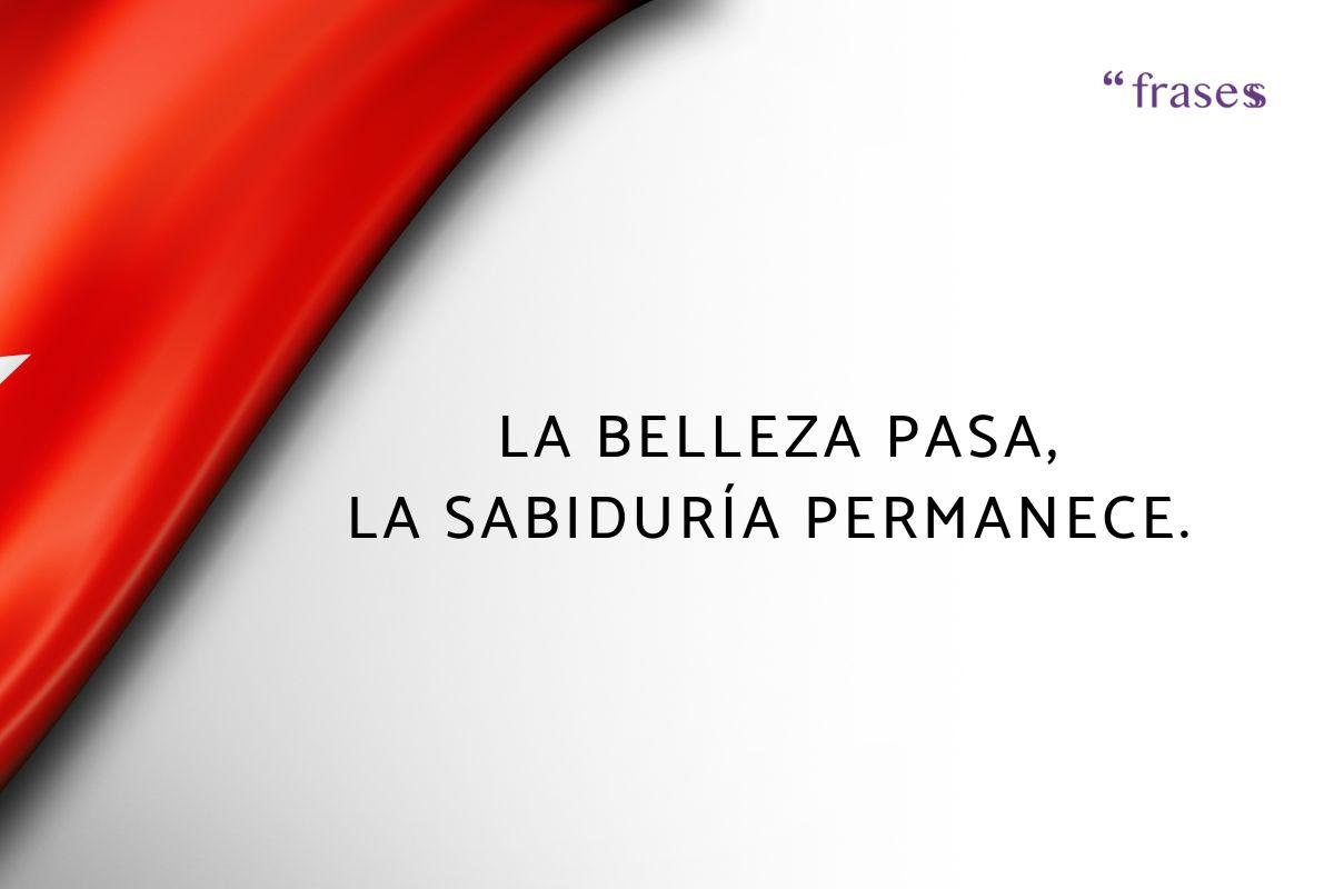 Proverbios turcos