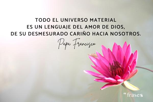 Frases del Papa Francisco - Todo el universo material es un lenguaje del amor de Dios, de su desmesurado cariño hacia nosotros. 