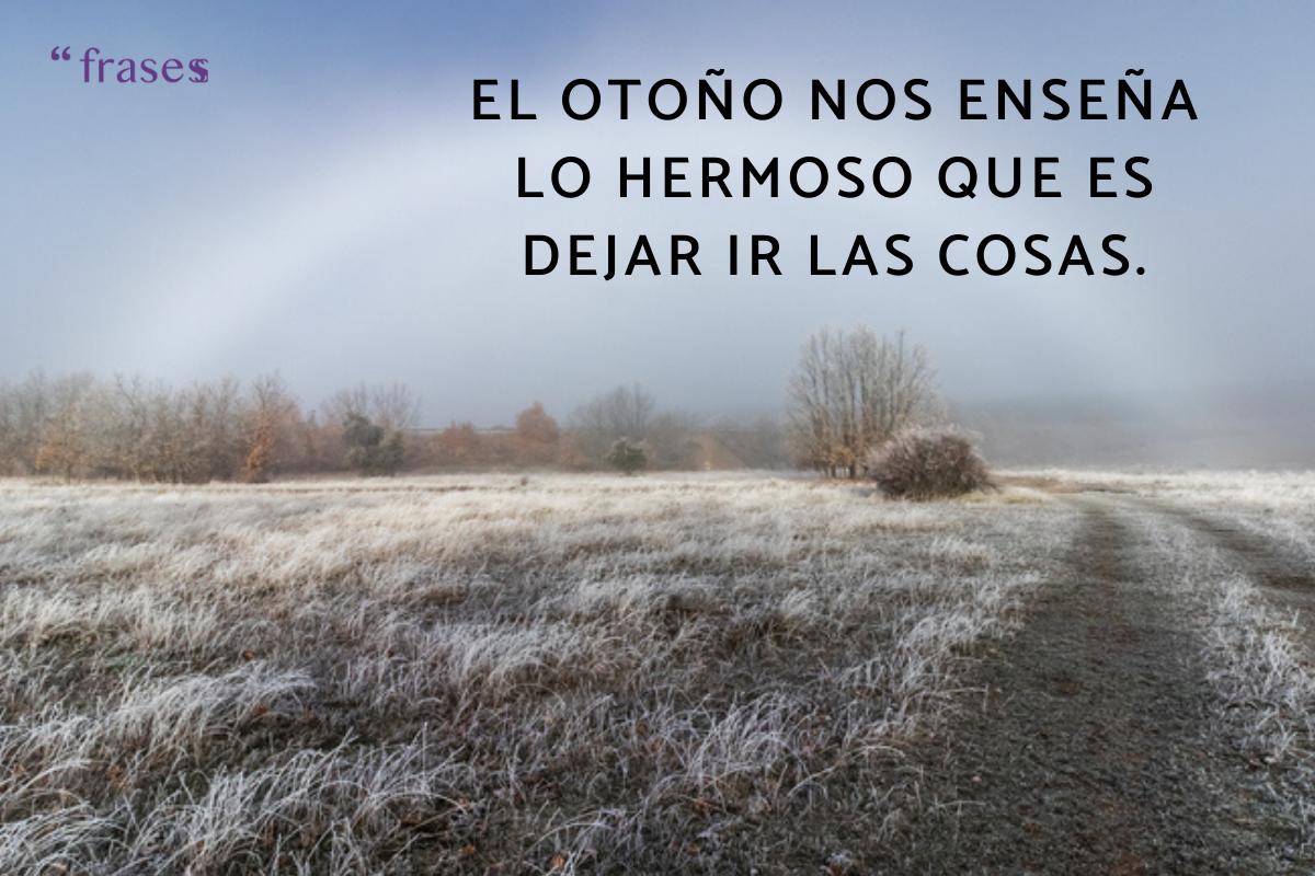 Frases de noviembre