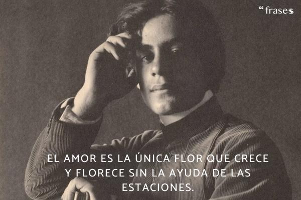 Frases de Khalil Gibran - El amor es la única flor que crece y florece sin la ayuda de las estaciones.