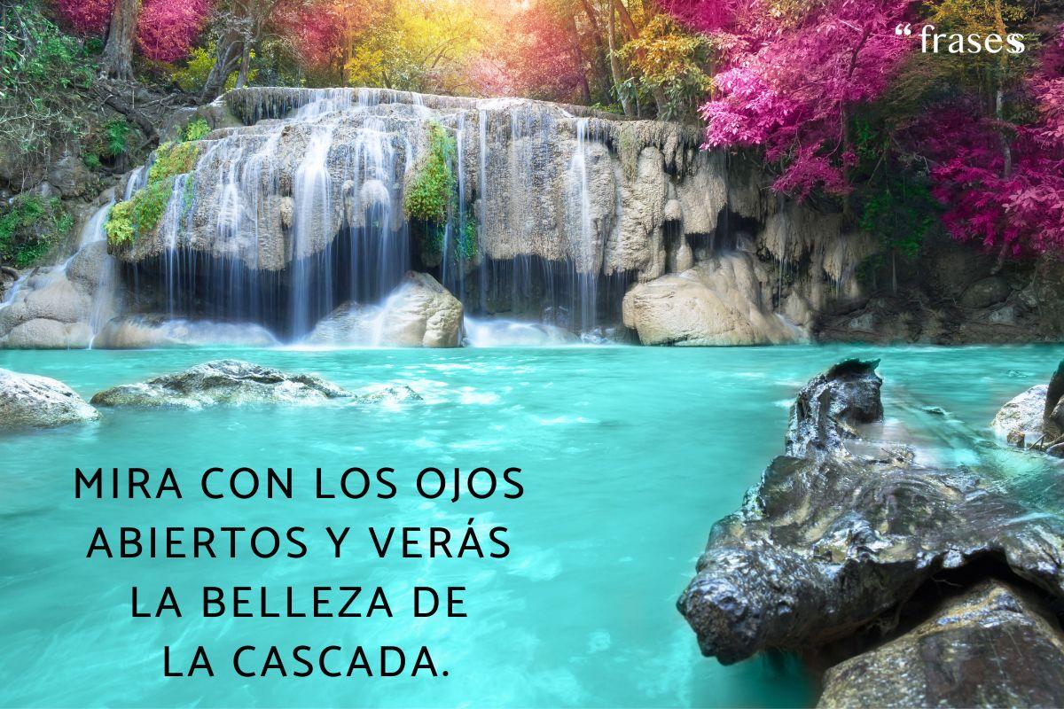 Frases sobre cascadas
