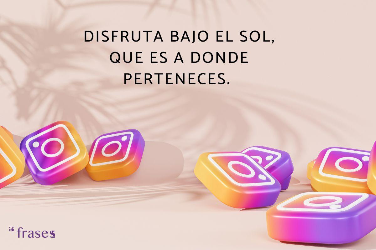 Frases de perfil de Instagram