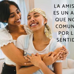 Frases de amor para amigos