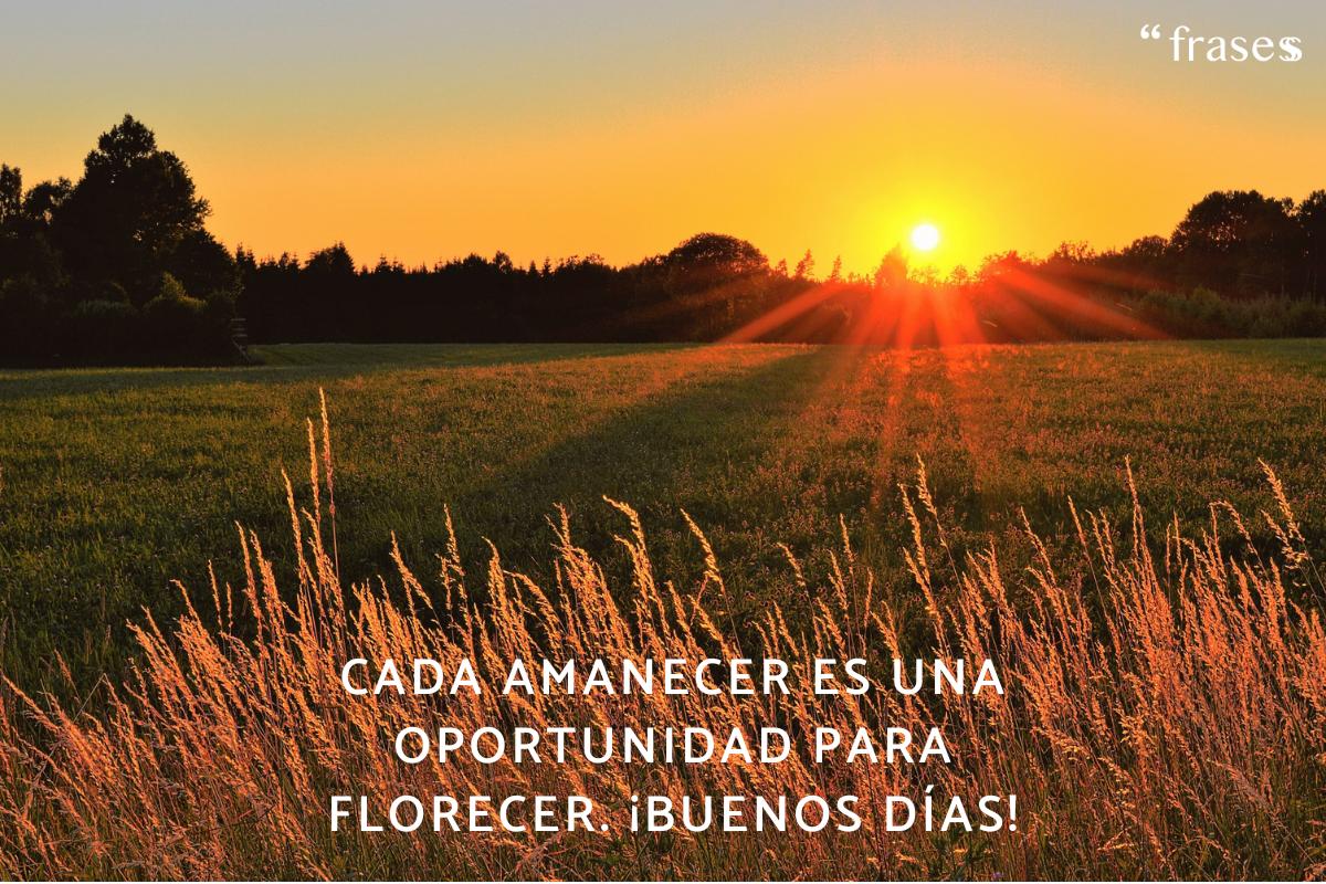 Frases bonitas de buenos días con flores