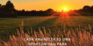 Frases bonitas de buenos días con flores