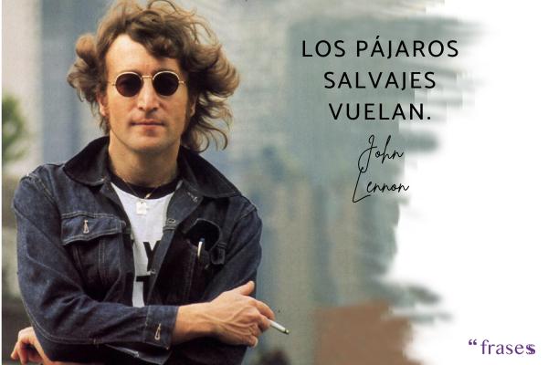 Frases de pájaros - Los pájaros salvajes vuelan.