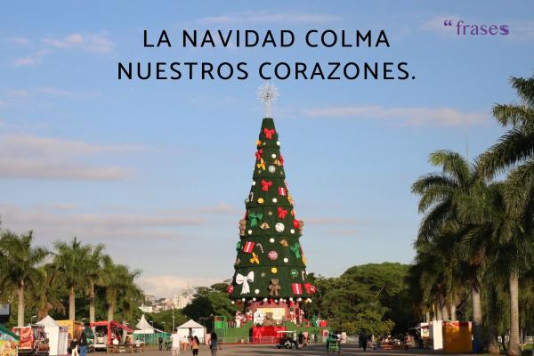 Frases de Navidad inteligentes - La Navidad colma nuestros corazones.