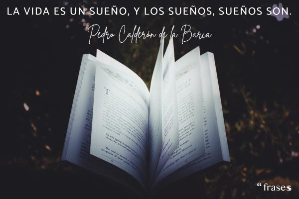 Frases de Alma de Poeta - La vida es un sueño, y los sueños, sueños son.