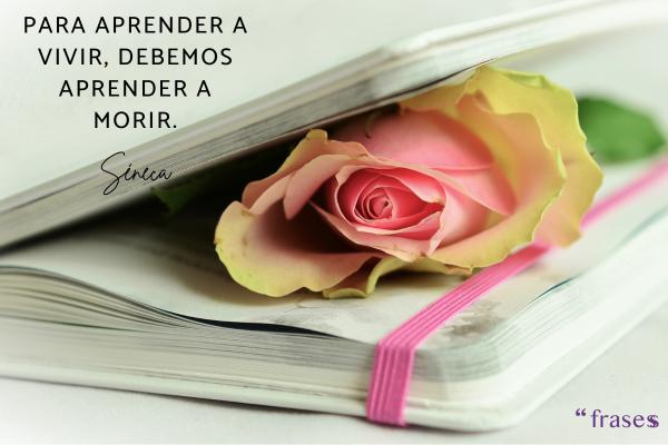 Frases de Alma de Poeta - Para aprender a vivir, debemos aprender a morir.