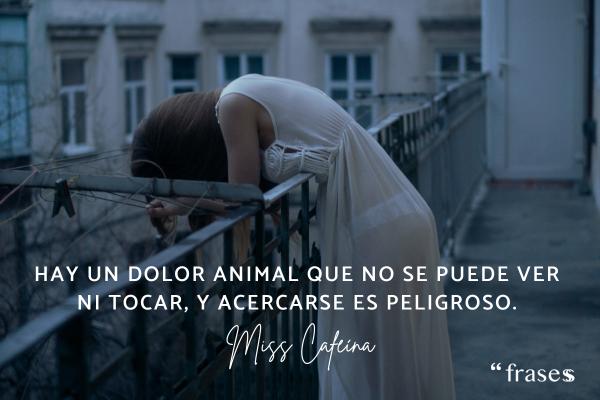 Frases de Miss Caffeina - Hay un dolor animal que no se puede ver ni tocar, y acercarse es peligroso. 