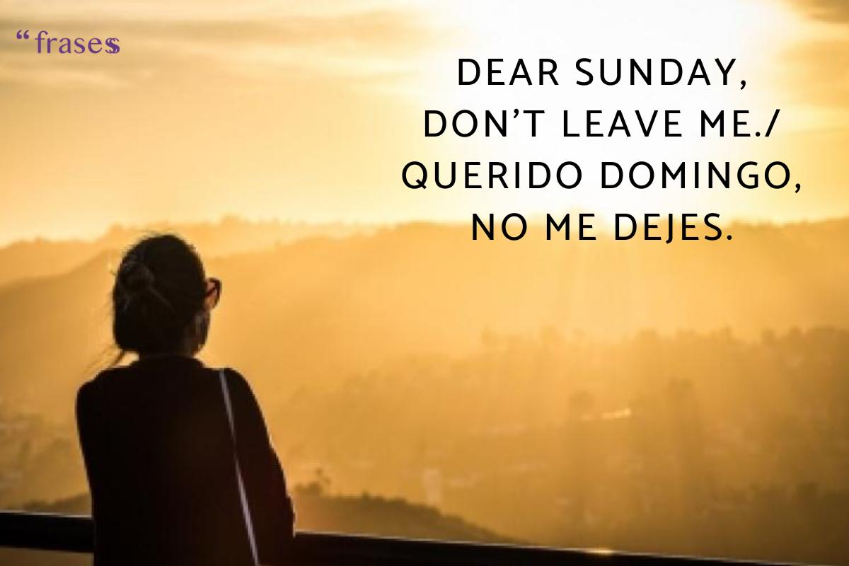 + 50 frases graciosas en inglés ¡Para reír!