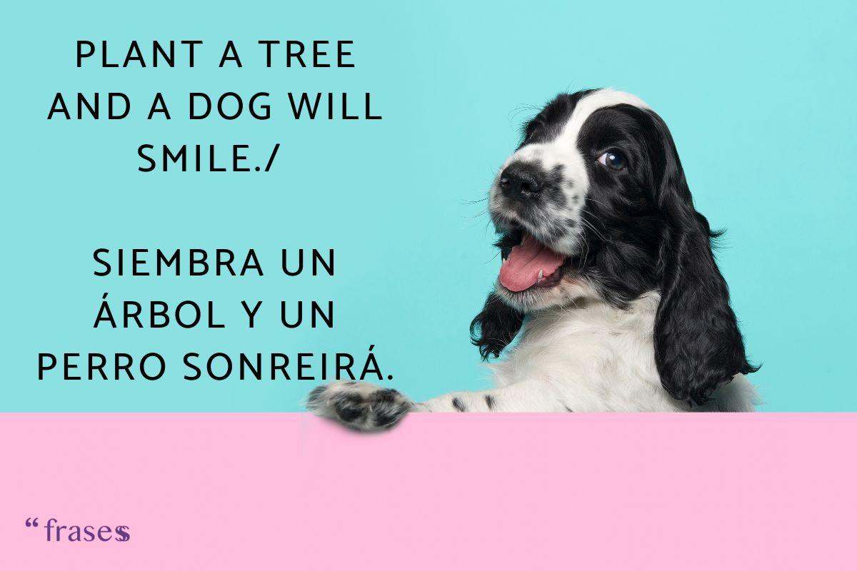 Frases graciosas en inglés