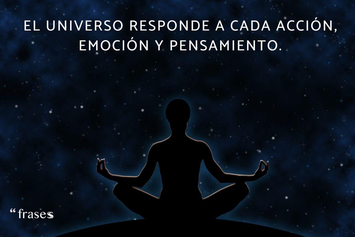 Total 48+ Imagen Agradecimiento Frases Del Universo - Abzlocal.mx