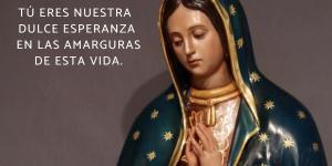 Frases de la Virgen de Guadalupe